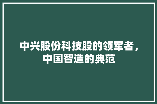 中兴股份科技股的领军者，中国智造的典范