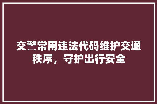 交警常用违法代码维护交通秩序，守护出行安全 头条优化