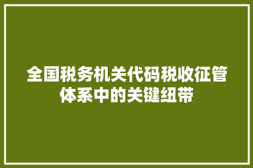 全国税务机关代码税收征管体系中的关键纽带 英文谷歌算法
