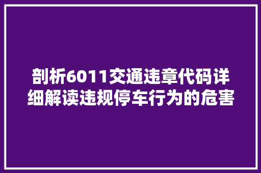 剖析6011交通违章代码详细解读违规停车行为的危害与防范 百度算法