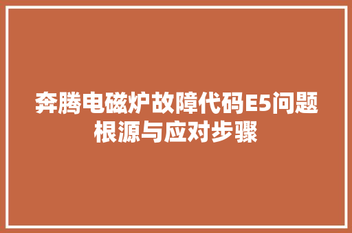 奔腾电磁炉故障代码E5问题根源与应对步骤 网站开发