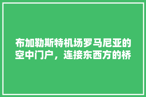 布加勒斯特机场罗马尼亚的空中门户，连接东西方的桥梁 网站开发