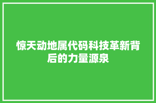 惊天动地属代码科技革新背后的力量源泉 网站优化