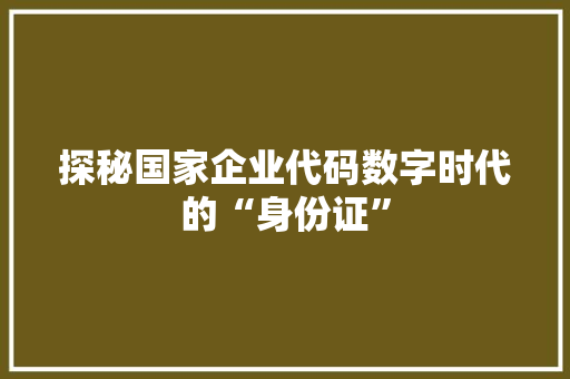 探秘国家企业代码数字时代的“身份证”