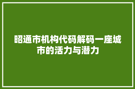 昭通市机构代码解码一座城市的活力与潜力 网站开发