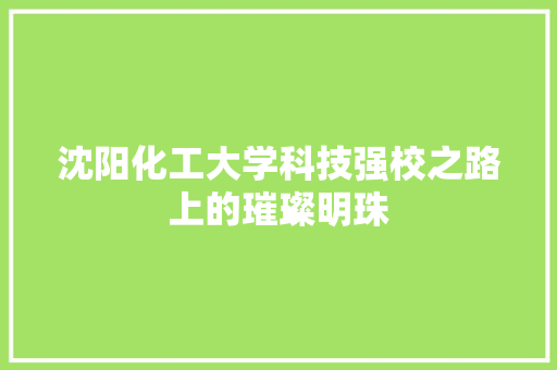 沈阳化工大学科技强校之路上的璀璨明珠