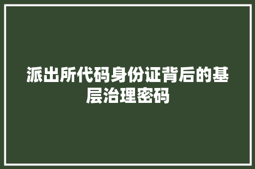 派出所代码身份证背后的基层治理密码 网站开发