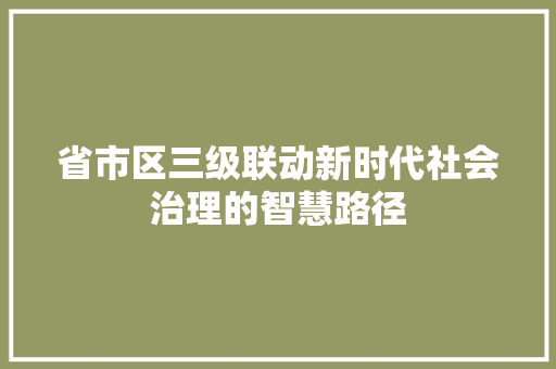 省市区三级联动新时代社会治理的智慧路径