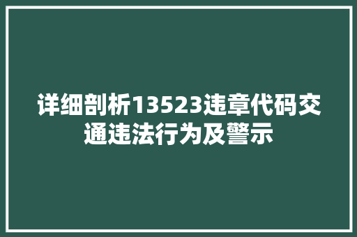 详细剖析13523违章代码交通违法行为及警示
