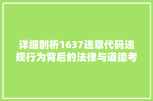 详细剖析1637违章代码违规行为背后的法律与道德考量