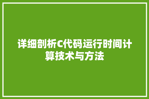 详细剖析C代码运行时间计算技术与方法