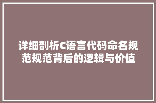 详细剖析C语言代码命名规范规范背后的逻辑与价值 网站优化