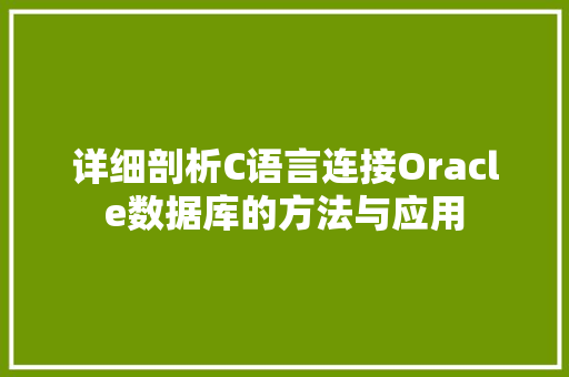 详细剖析C语言连接Oracle数据库的方法与应用