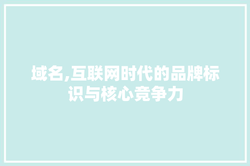 域名,互联网时代的品牌标识与核心竞争力 域名,互联网时代的品牌标识与核心竞争力 搜狗优化