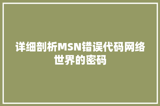 详细剖析MSN错误代码网络世界的密码