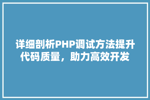 详细剖析PHP调试方法提升代码质量，助力高效开发