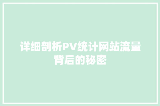 详细剖析PV统计网站流量背后的秘密