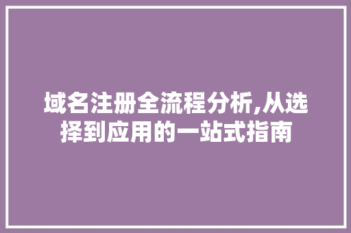 域名注册全流程分析,从选择到应用的一站式指南