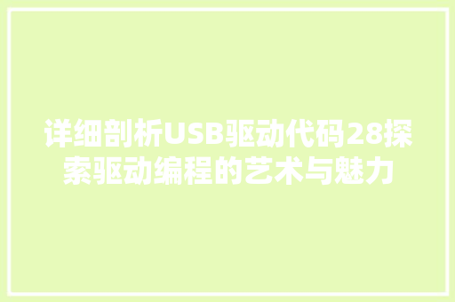 详细剖析USB驱动代码28探索驱动编程的艺术与魅力