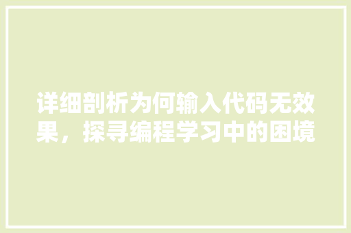 详细剖析为何输入代码无效果，探寻编程学习中的困境与突破