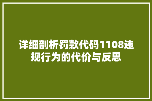 详细剖析罚款代码1108违规行为的代价与反思