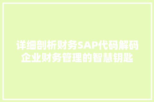 详细剖析财务SAP代码解码企业财务管理的智慧钥匙 网站开发