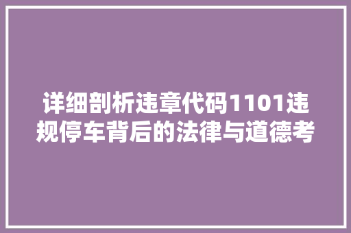 详细剖析违章代码1101违规停车背后的法律与道德考量