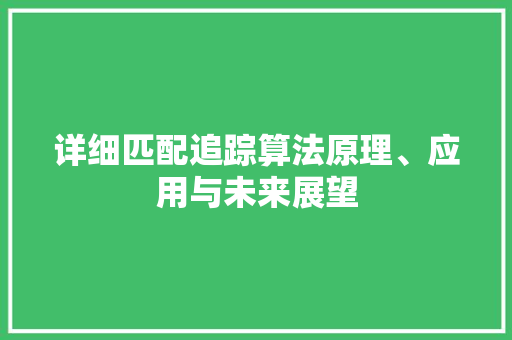 详细匹配追踪算法原理、应用与未来展望