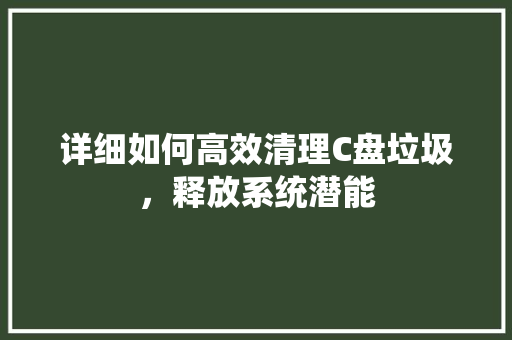 详细如何高效清理C盘垃圾，释放系统潜能