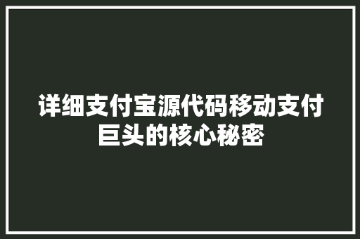 详细支付宝源代码移动支付巨头的核心秘密