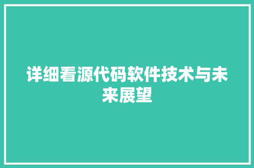 详细看源代码软件技术与未来展望 网站优化
