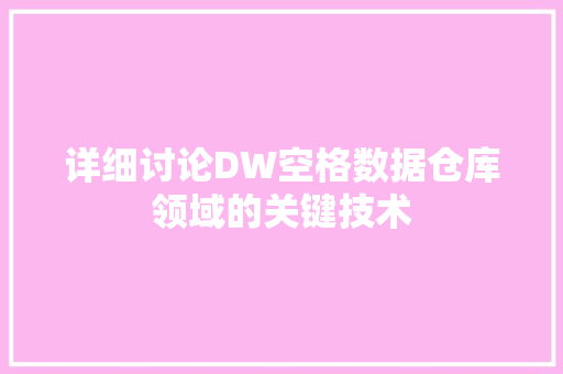 详细讨论DW空格数据仓库领域的关键技术