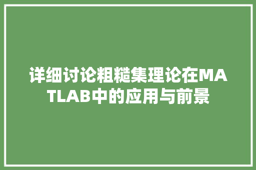 详细讨论粗糙集理论在MATLAB中的应用与前景