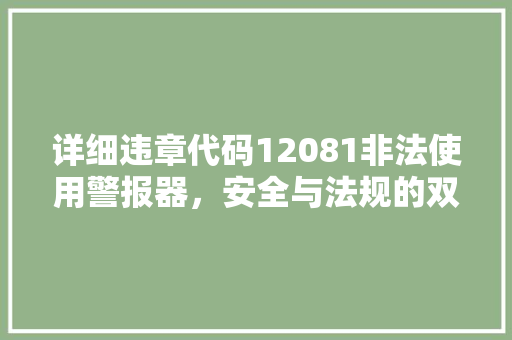 详细违章代码12081非法使用警报器，安全与法规的双重拷问