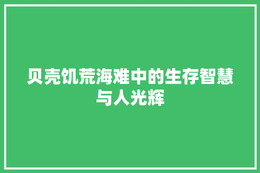 贝壳饥荒海难中的生存智慧与人光辉