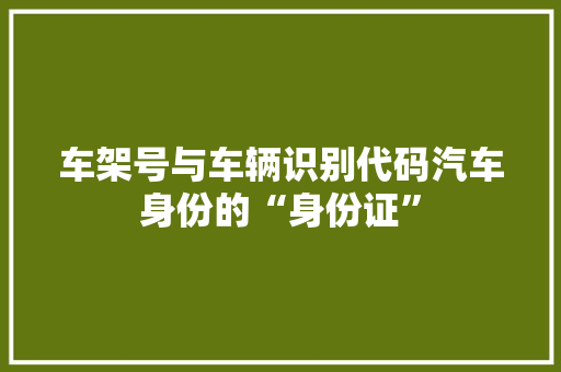 车架号与车辆识别代码汽车身份的“身份证”