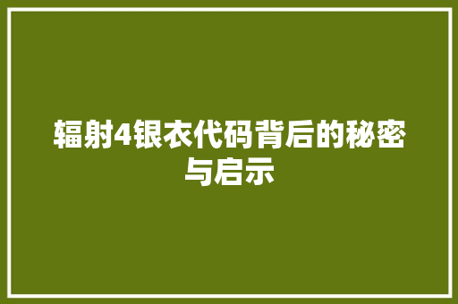 辐射4银衣代码背后的秘密与启示 网站开发