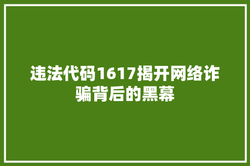 违法代码1617揭开网络诈骗背后的黑幕