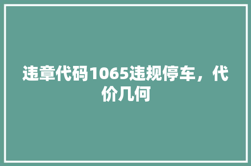 违章代码1065违规停车，代价几何