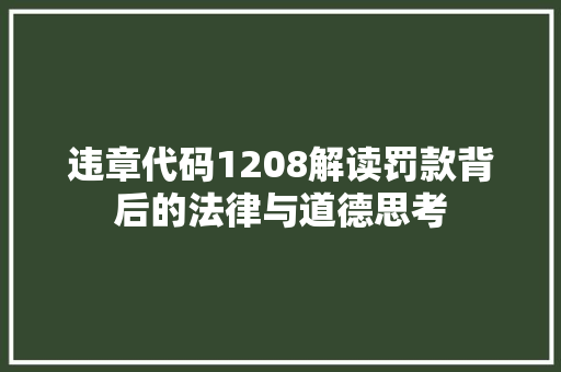 违章代码1208解读罚款背后的法律与道德思考