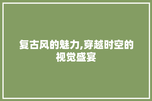 复古风的魅力,穿越时空的视觉盛宴