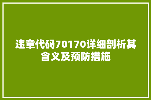 违章代码70170详细剖析其含义及预防措施 seo技术