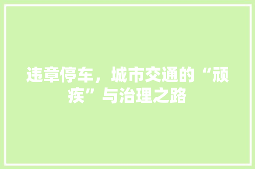 违章停车，城市交通的“顽疾”与治理之路 网站开发