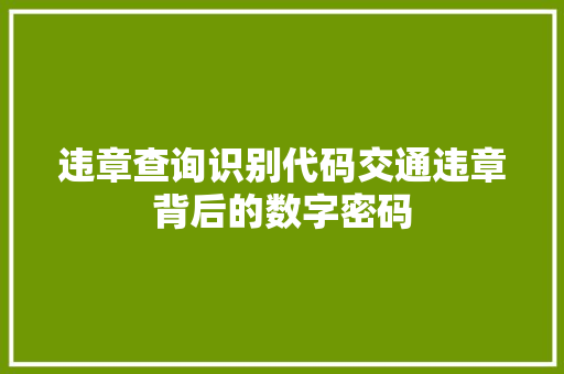 违章查询识别代码交通违章背后的数字密码 头条优化