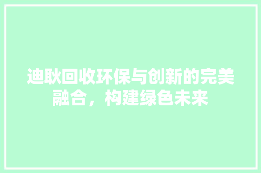 迪耿回收环保与创新的完美融合，构建绿色未来