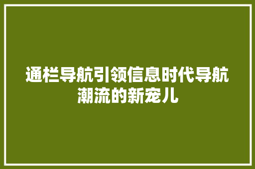 通栏导航引领信息时代导航潮流的新宠儿