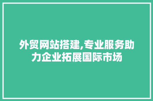 外贸网站搭建,专业服务助力企业拓展国际市场