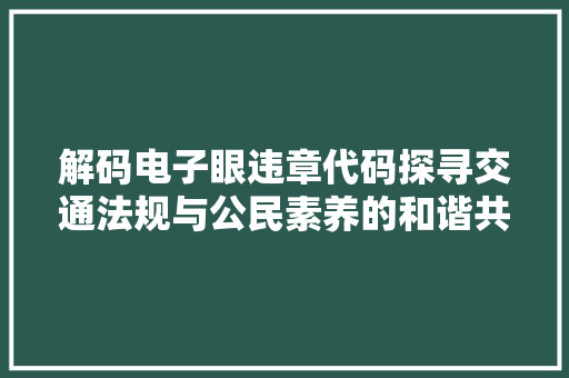 解码电子眼违章代码探寻交通法规与公民素养的和谐共鸣