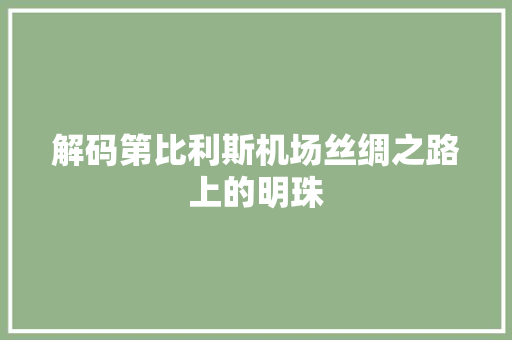 解码第比利斯机场丝绸之路上的明珠