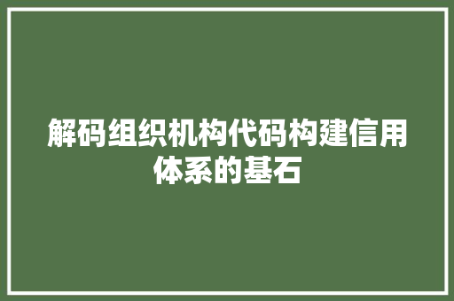 解码组织机构代码构建信用体系的基石